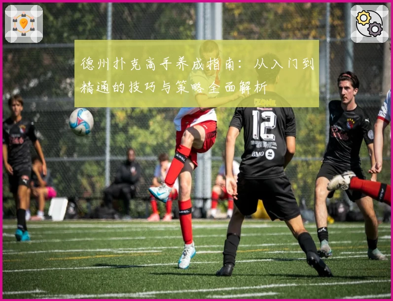 德州扑克高手养成指南：从入门到精通的技巧与策略全面解析