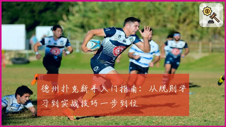 德州扑克新手入门指南：从规则学习到实战技巧一步到位