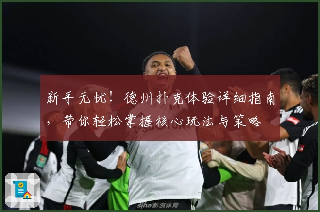 新手无忧！德州扑克体验详细指南，带你轻松掌握核心玩法与策略