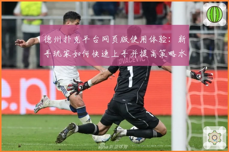 德州扑克平台网页版使用体验：新手玩家如何快速上手并提高策略水平