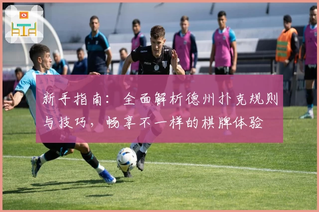 新手指南:全面解析德州扑克规则与技巧,畅享不一样的棋牌体验