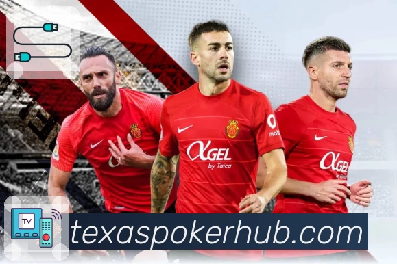 德州扑克游戏 德州扑克游戏 平台生态示意图